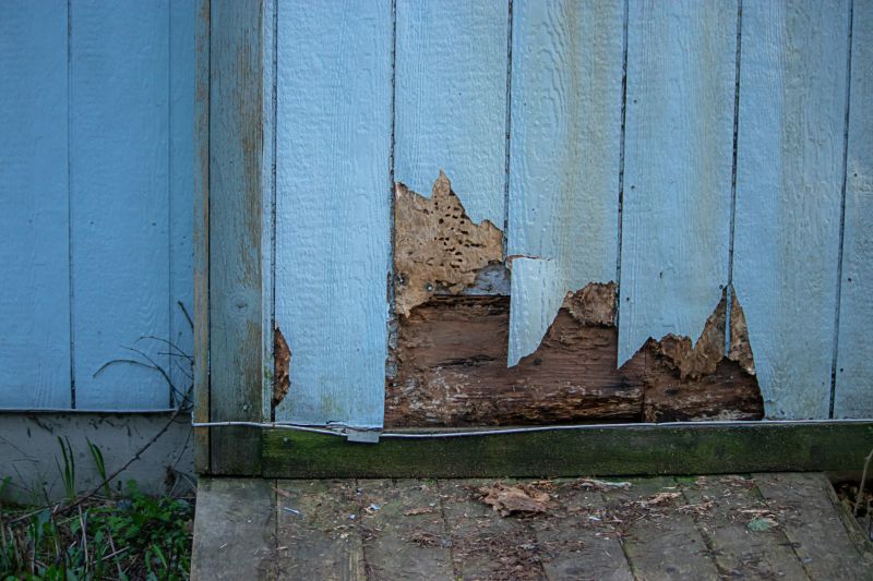 Damaged Cedar Siding